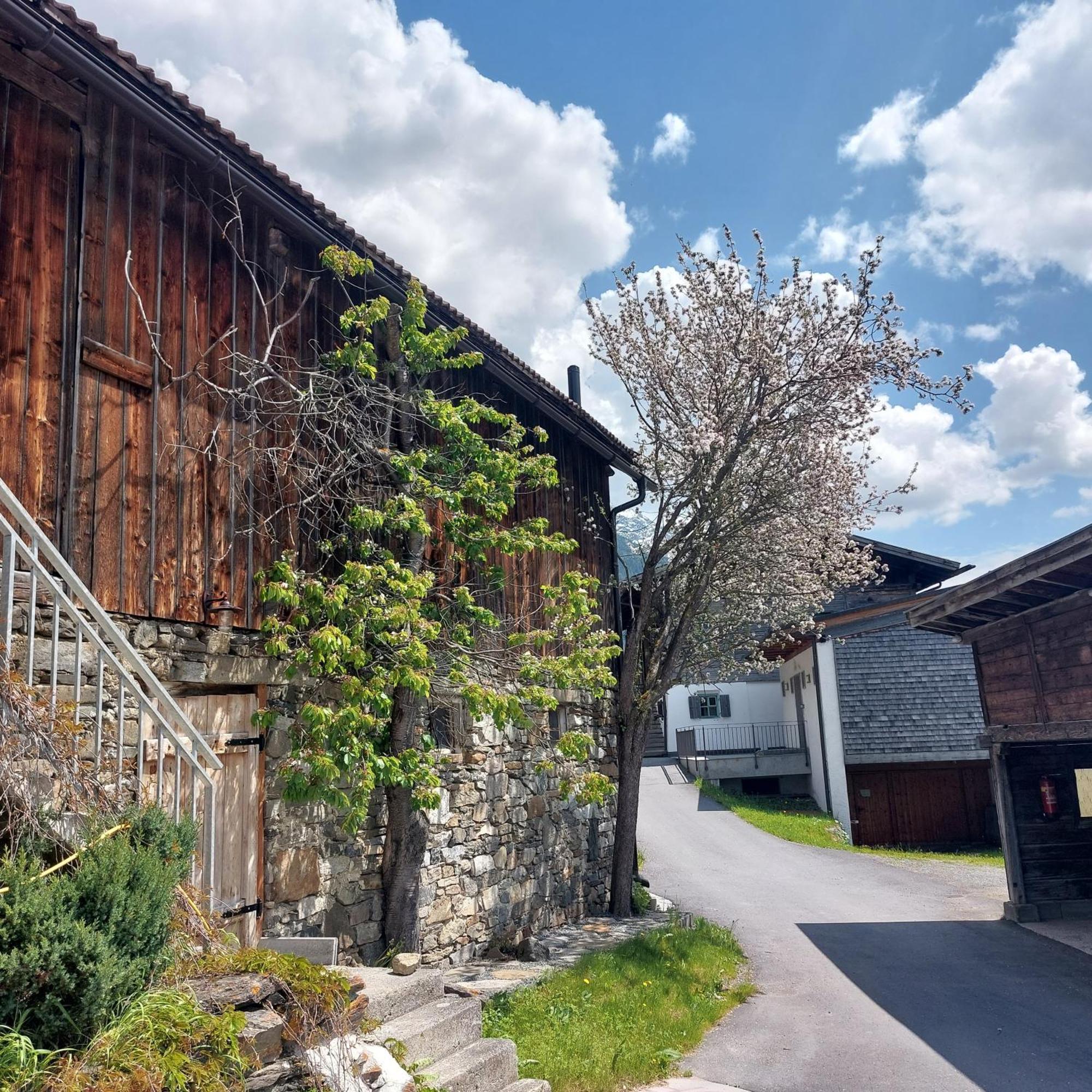 Apartament Bichlhof Niederthai Zewnętrze zdjęcie